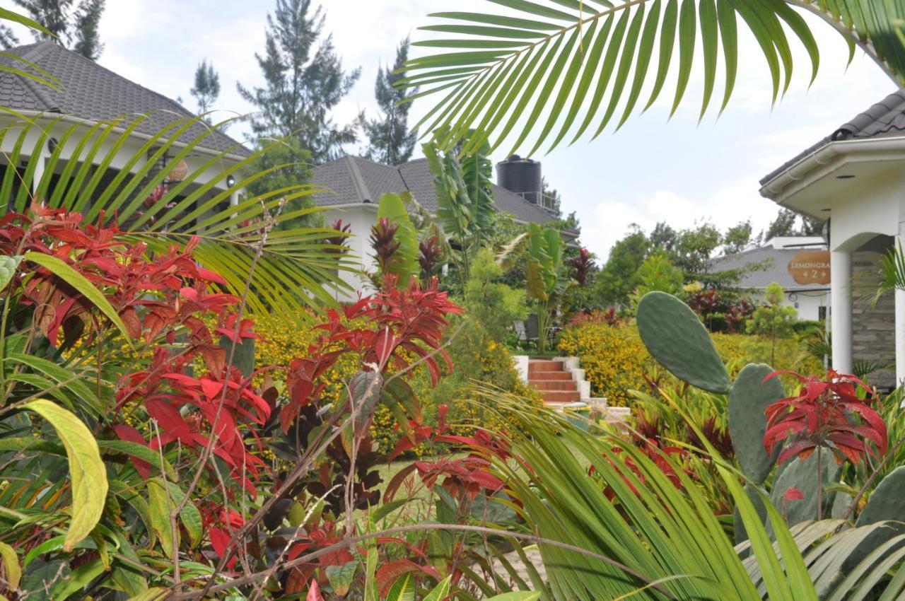 Home Bliss Hotel- Fort Portal Uganda מראה חיצוני תמונה